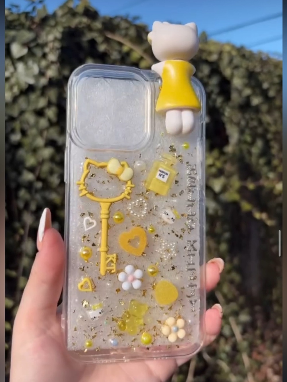 iPhone junk case